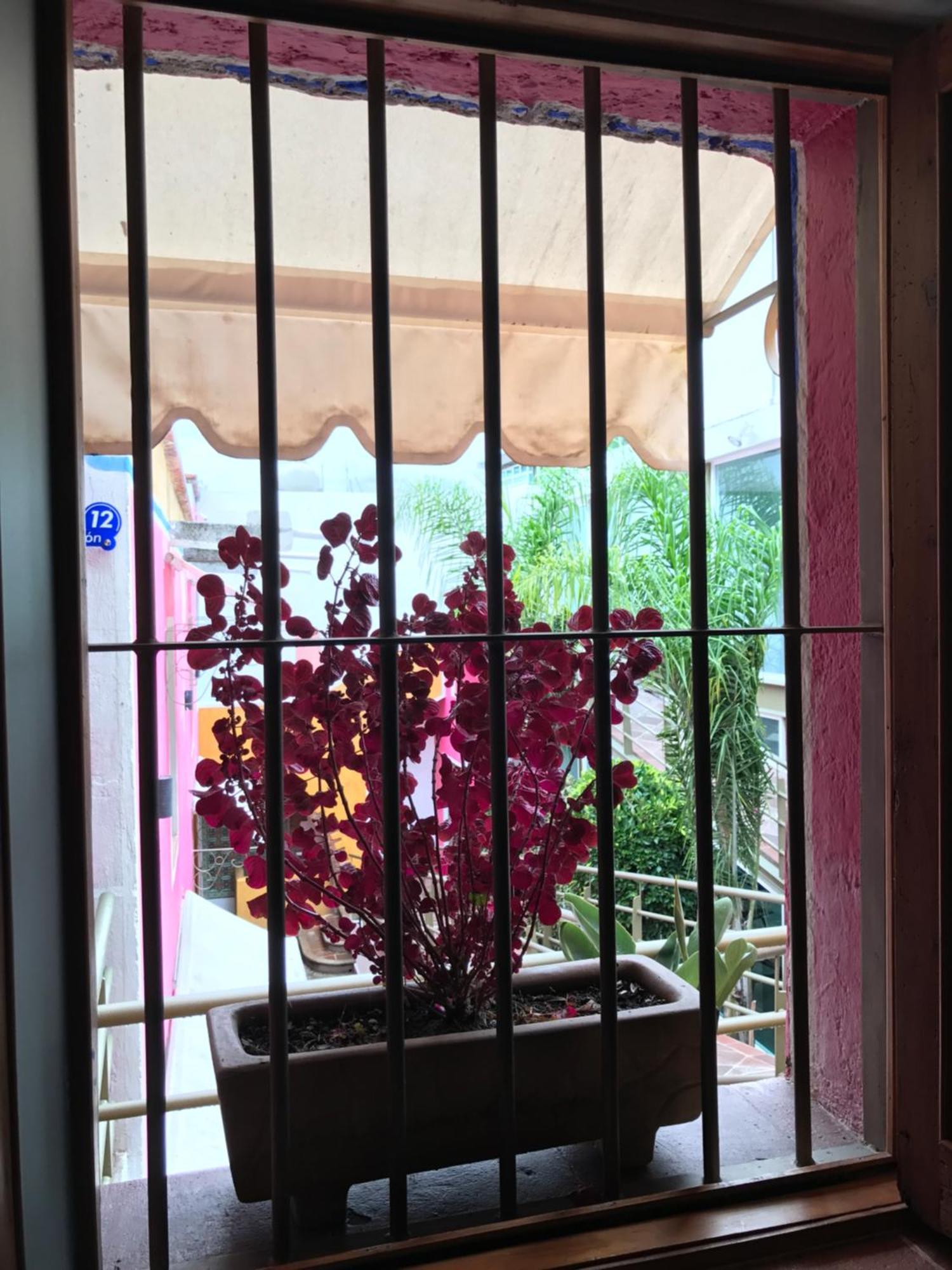 הואמנטלה Hotel Malinalli מראה חיצוני תמונה